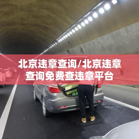 北京违章查询/北京违章查询免费查违章平台 北京违章查询/北京违章查询免费查违章平台