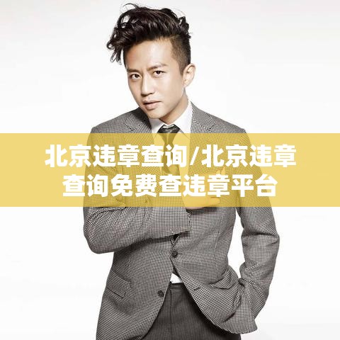 北京违章查询/北京违章查询免费查违章平台 北京违章查询/北京违章查询免费查违章平台