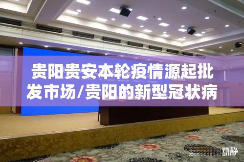 贵阳贵安本轮疫情源起批发市场/贵阳的新型冠状病毒感染者现在在哪里