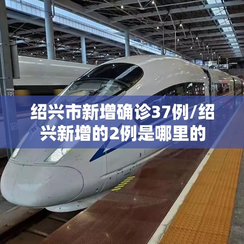 绍兴市新增确诊37例/绍兴新增的2例是哪里的