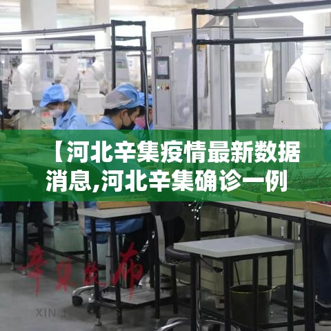 【河北辛集疫情最新数据消息,河北辛集确诊一例】