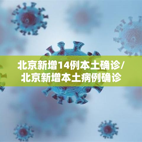 北京新增14例本土确诊/北京新增本土病例确诊