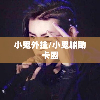 小鬼外挂/小鬼辅助卡盟