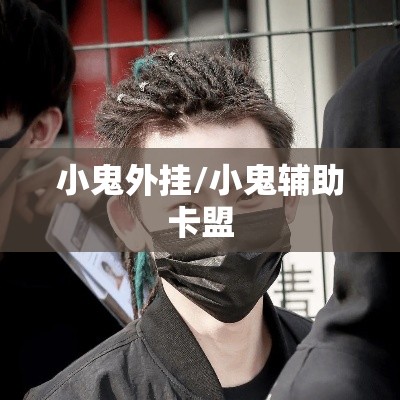 小鬼外挂/小鬼辅助卡盟