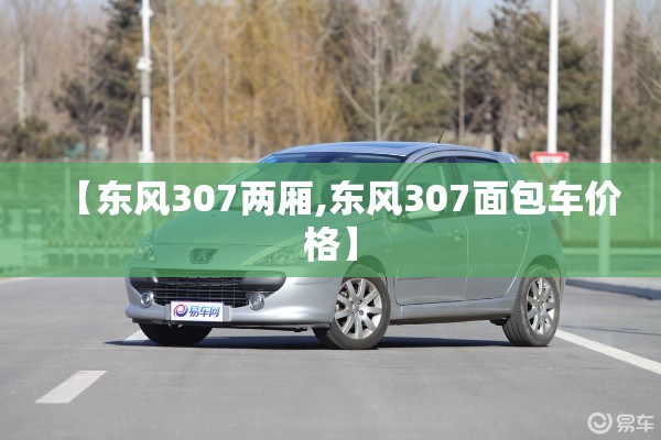 【东风307两厢,东风307面包车价格】