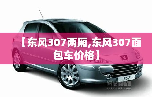 【东风307两厢,东风307面包车价格】