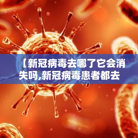 【新冠病毒去哪了它会消失吗,新冠病毒患者都去了哪里】