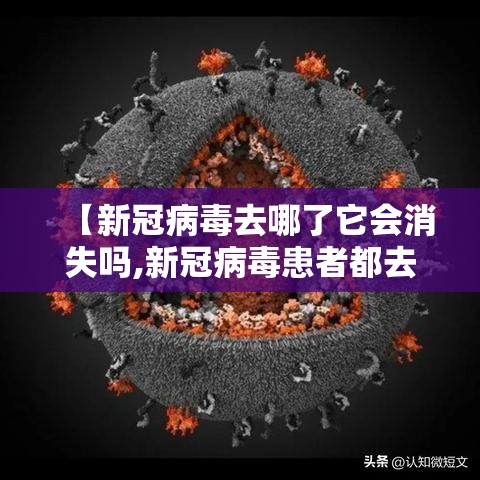 【新冠病毒去哪了它会消失吗,新冠病毒患者都去了哪里】