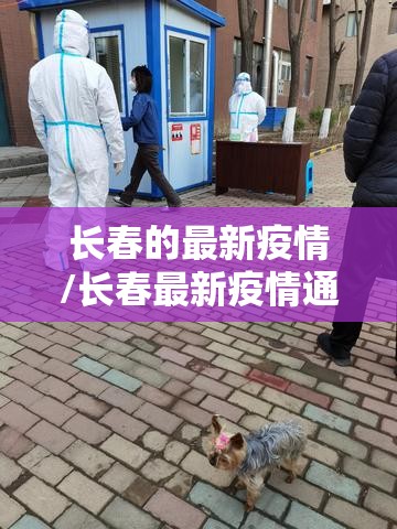 长春的最新疫情/长春最新疫情通告