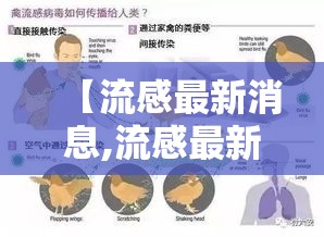 【流感最新消息,流感最新消息近期流感爆发】
