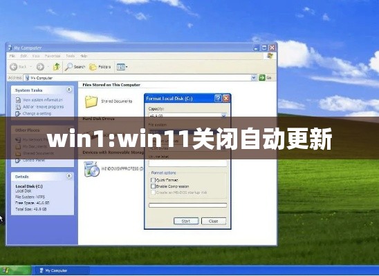 win1:win11关闭自动更新 win1:win11关闭自动更新