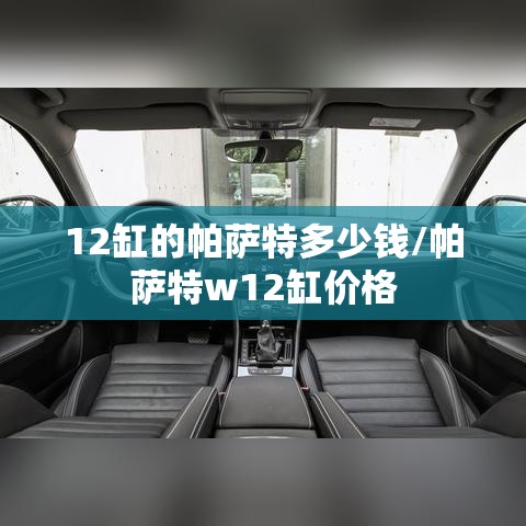 12缸的帕萨特多少钱/帕萨特w12缸价格