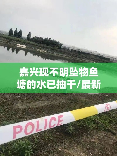 嘉兴现不明坠物鱼塘的水已抽干/最新嘉兴鱼塘不明坠物