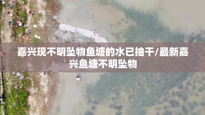 嘉兴现不明坠物鱼塘的水已抽干/最新嘉兴鱼塘不明坠物