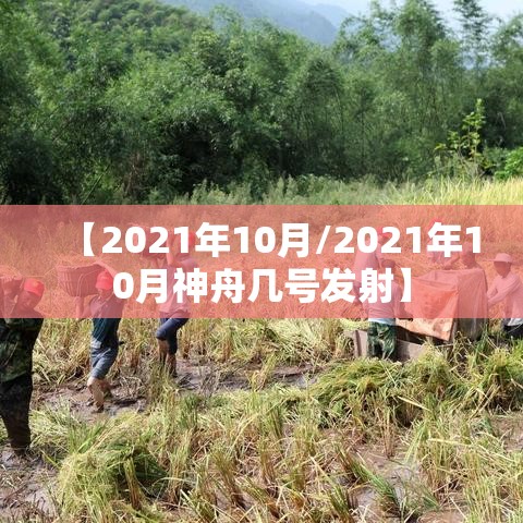 【2021年10月/2021年10月神舟几号发射】