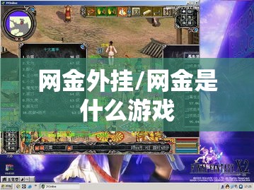 网金外挂/网金是什么游戏