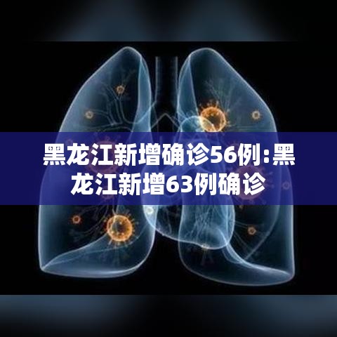 黑龙江新增确诊56例:黑龙江新增63例确诊