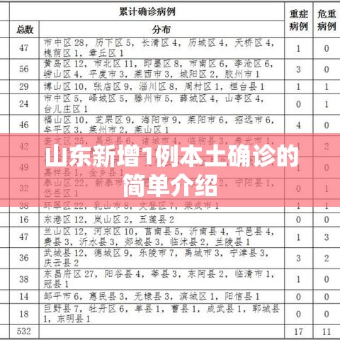 山东新增1例本土确诊的简单介绍
