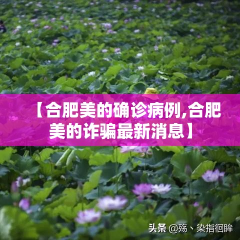【合肥美的确诊病例,合肥美的诈骗最新消息】