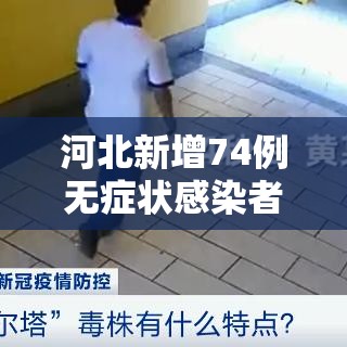 河北新增74例无症状感染者(河北新增69例无症状问责) 河北新增74例无症状感染者(河北新增69例无症状问责)