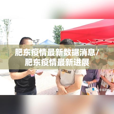 肥东疫情最新数据消息/肥东疫情最新进展