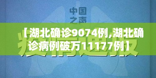 【湖北确诊9074例,湖北确诊病例破万11177例】