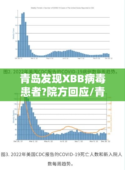 青岛发现XBB病毒患者?院方回应/青岛发现xbb病毒患者?院方回应了吗