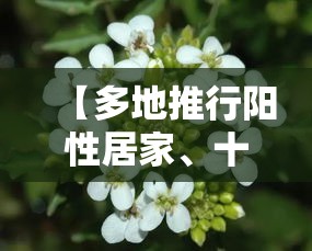 【多地推行阳性居家	、十字花隔离,十字隔离骨架】