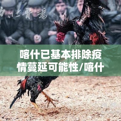喀什已基本排除疫情蔓延可能性/喀什地区疫情解除了吗