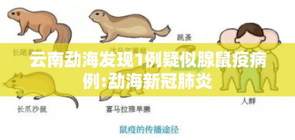 云南勐海发现1例疑似腺鼠疫病例:勐海新冠肺炎
