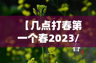 【几点打春第一个春2023/2021年几点打春时间是上午还是下午】