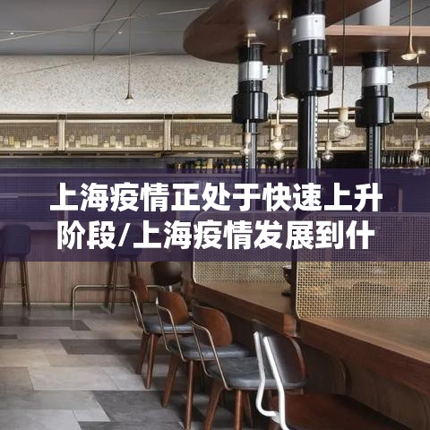 上海疫情正处于快速上升阶段/上海疫情发展到什么程度
