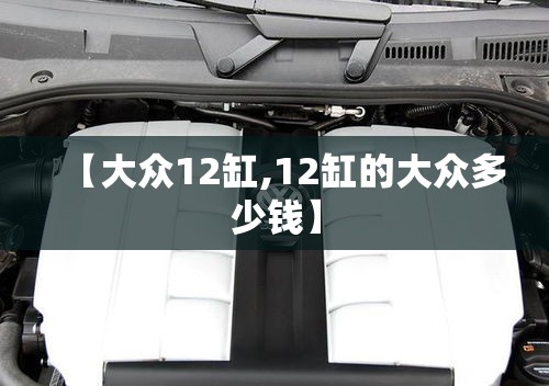 【大众12缸,12缸的大众多少钱】