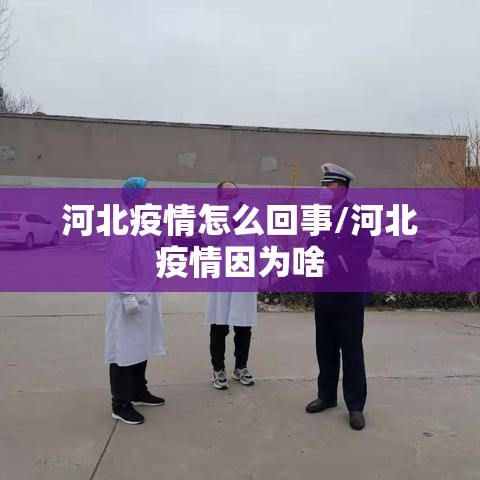 河北疫情怎么回事/河北疫情因为啥
