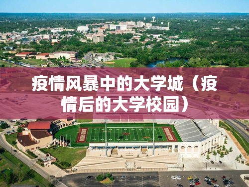 疫情风暴中的大学城（疫情后的大学校园）