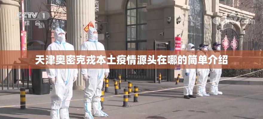 天津奥密克戎本土疫情源头在哪的简单介绍
