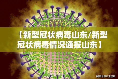 【新型冠状病毒山东/新型冠状病毒情况通报山东】