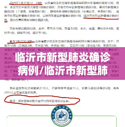 临沂市新型肺炎确诊病例/临沂市新型肺炎实时动态