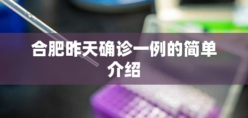 合肥昨天确诊一例的简单介绍 合肥昨天确诊一例的简单介绍