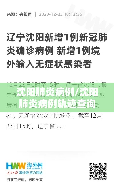 沈阳肺炎病例/沈阳肺炎病例轨迹查询