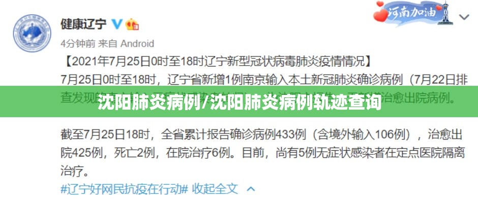 沈阳肺炎病例/沈阳肺炎病例轨迹查询