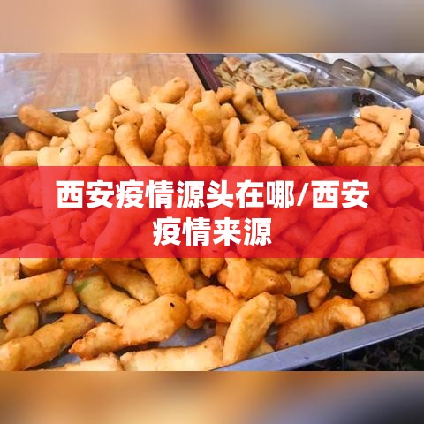 西安疫情源头在哪/西安疫情来源