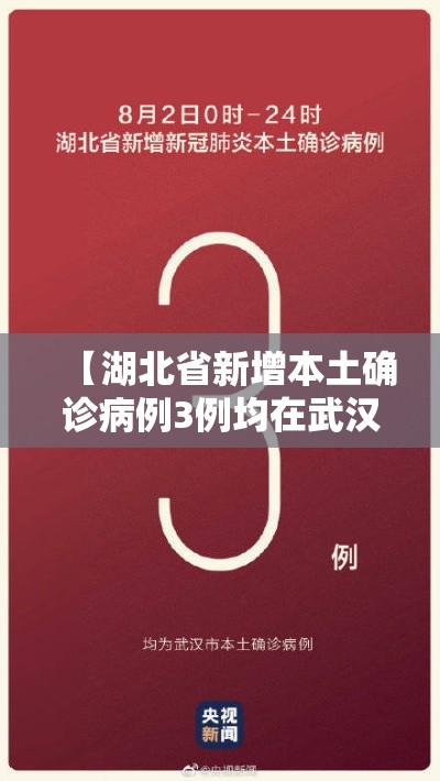 【湖北省新增本土确诊病例3例均在武汉,湖北省新增本土确诊病例3例 均在武汉】