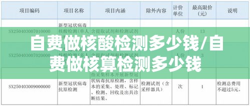 自费做核酸检测多少钱/自费做核算检测多少钱 自费做核酸检测多少钱/自费做核算检测多少钱