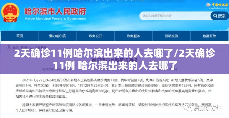 2天确诊11例哈尔滨出来的人去哪了/2天确诊11例 哈尔滨出来的人去哪了