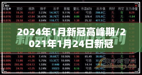 2024年1月新冠高峰期/2021年1月24日新冠