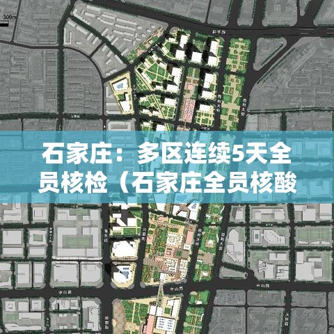 石家庄：多区连续5天全员核检（石家庄全员核酸检测后多久解封）