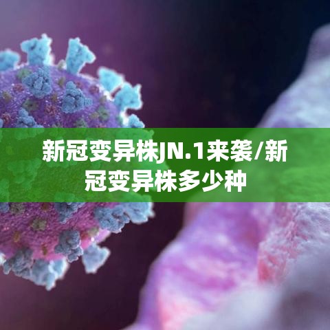 新冠变异株JN.1来袭/新冠变异株多少种
