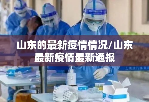 山东的最新疫情情况/山东最新疫情最新通报