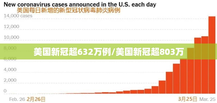 美国新冠超632万例/美国新冠超803万
